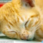 Melba Thompson Profile Picture