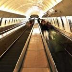 Jaeden Cole Profile Picture