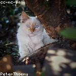 Kayley Hermann Profile Picture