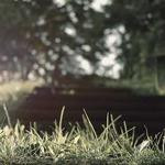 Kareem Monahan Profile Picture