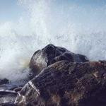 Josefa Kshlerin Profile Picture