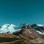 Norris Frami Profile Picture