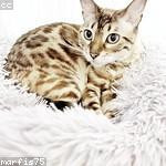 Theron Torp Profile Picture