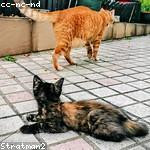 Kurtis Johns Profile Picture