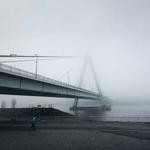 Daphne Schumm Profile Picture