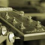 Clementina Zboncak Profile Picture