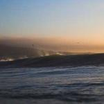 Toni Metz Profile Picture