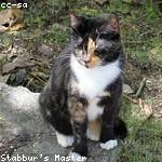 Yasmine Kreiger Profile Picture