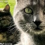 Margarita Stokes Profile Picture