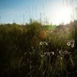 Geovany Stoltenberg Profile Picture